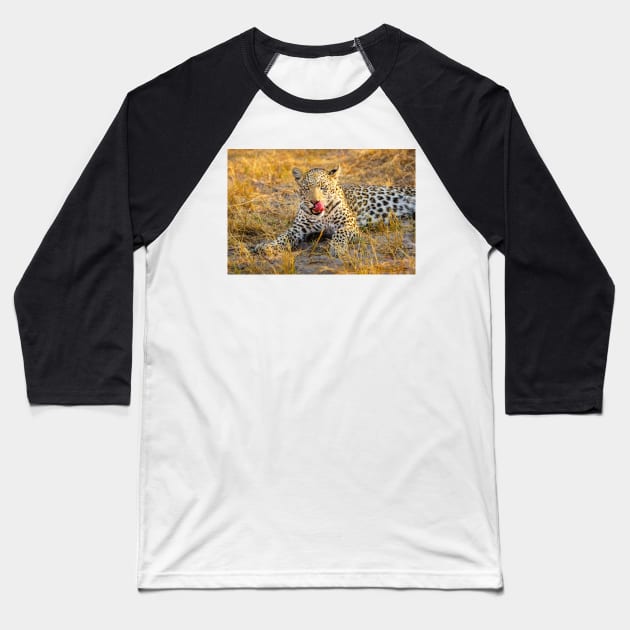 Leopard (Panthera pardus) in the Okavango Delta Baseball T-Shirt by GrahamPrentice